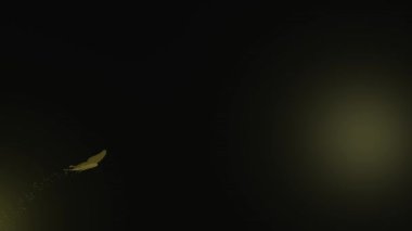 A gold butterfly is flying and yellow flower pollen trail with black background (3D Rendering)