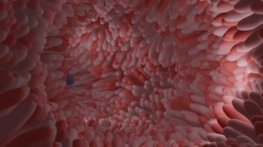 A blue transparent capsule is moving through intestinal tract
