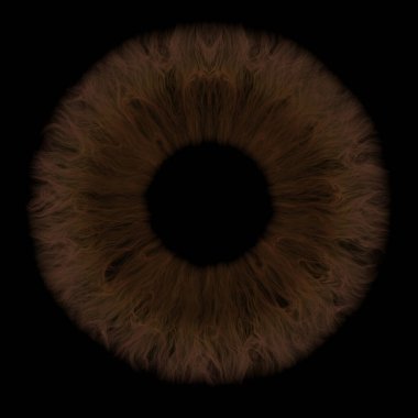 Kahverengi insan iris izole (3D görüntüleme)