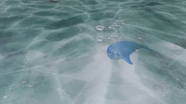 A blue whale is swimming under ice plate in arctic ocean (3D Rendering)