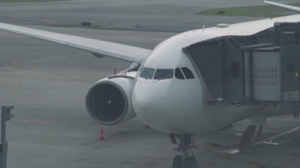 공항에 있는 비행기에 연결 된 제트 브리지 — 비디오