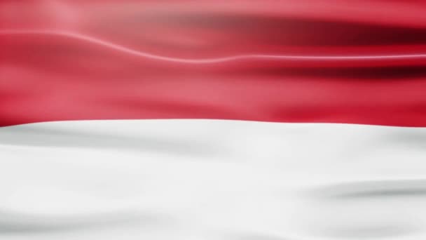 Indonesian Waving Flag Animation — Stok Video