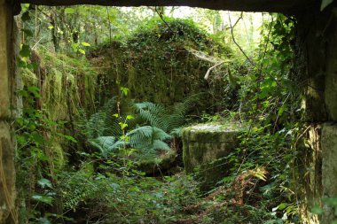 Old mill in ruins invaded by the forest next to the Vilacova river in Noia