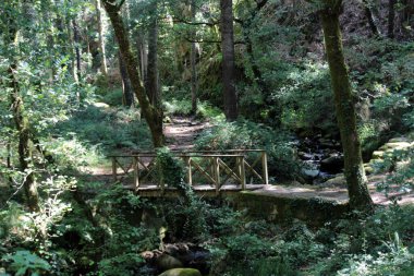 Trail and wooden bridge through the forest along the Fraga stream