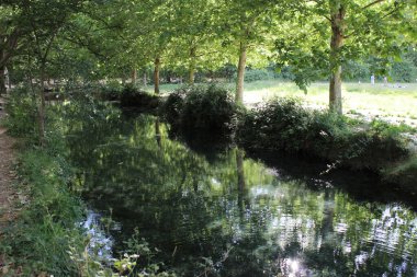 Reflections in the water of the stream that crosses the Fuentes del Marques area.