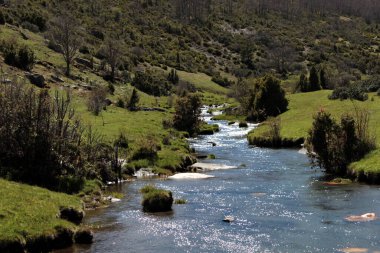 Lillas river descending through meadows from the Tejera negra beech forest.