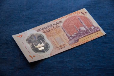 Egyptian polymer banknote, Egyptian 10 pounds, shot is selective focus with shallow depth of field. Taken at Cairo Egypt.