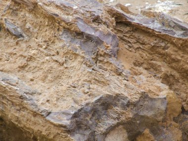 Abstract Photography, shot is selective focus with shallow depth of field