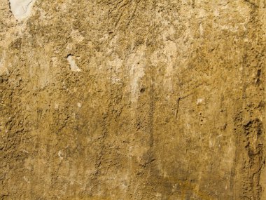 Abstract Photography, shot is selective focus with shallow depth of field