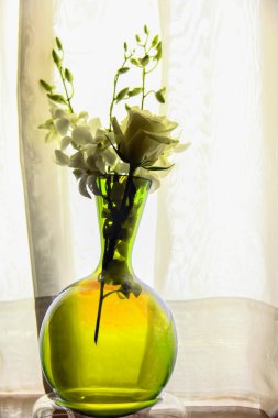 Abstract Photography, shot is selective focus with shallow depth