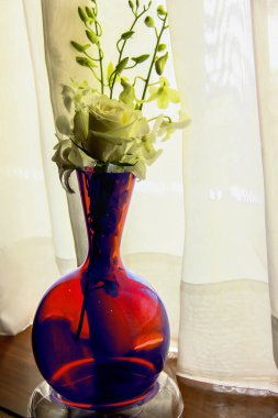 Abstract Photography, shot is selective focus with shallow depth