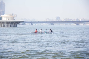 28 Haziran 2022 'de Kahire' de Mısır 'da çekilen, kürek kullanan yarış teknelerinin sporu olan Nil' de Yayın Kürekleri, sığ alan derinliğiyle seçici bir odak noktasıdır.