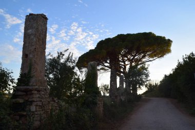 a beautiful view of the old castle in the park of the mediterranean. the sun sets on the ground