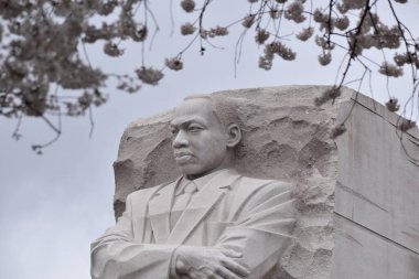 Cherry Blossoms over the MLK monument in DC