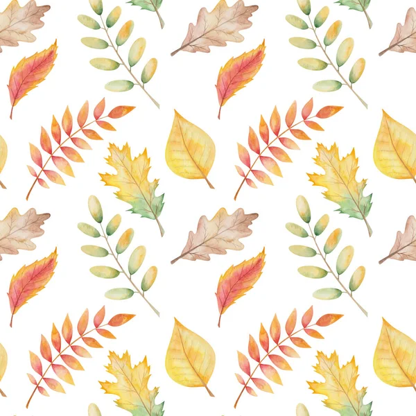 Watercolor seamless pattern from hand painted illustration of birch, maple tree leaves in yellow colors isolated on white. Forest nature print for autumn season fabric textile, design cards, packaging