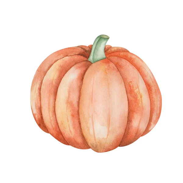 Watercolor Illustration Hand Painted Orange Yellow Plump Ripe Pumpkin Autumn — ストック写真