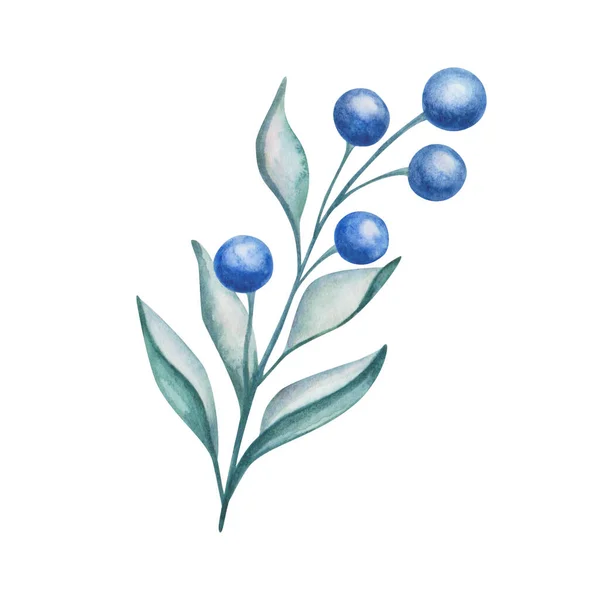Акварельная Иллюстрация Ветви Ручной Росписи Черникой Листьями Зеленых Синих Цветах — стоковое фото