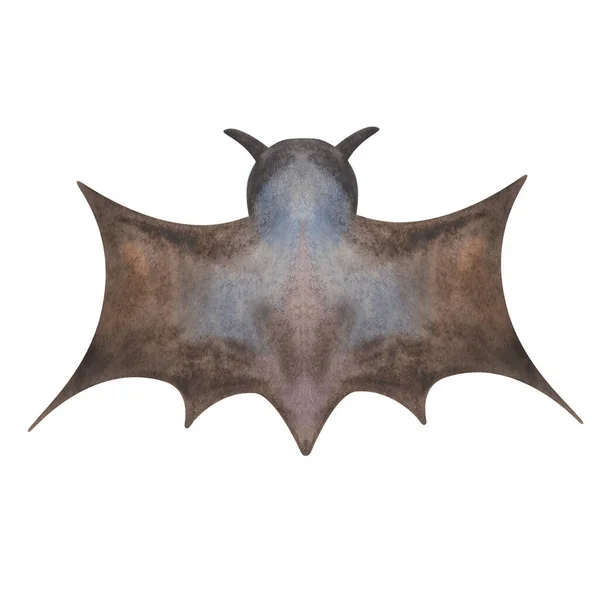 Watercolor Illustration Hand Painted Flying Black Bat Wih Spread Wings — Stock Fotó