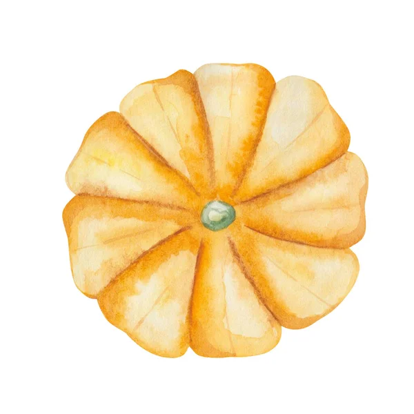 Watercolor Illustration Hand Painted Yellow Pumpkin Squash Autumn Harvest Vegetables — Stock Photo, Image
