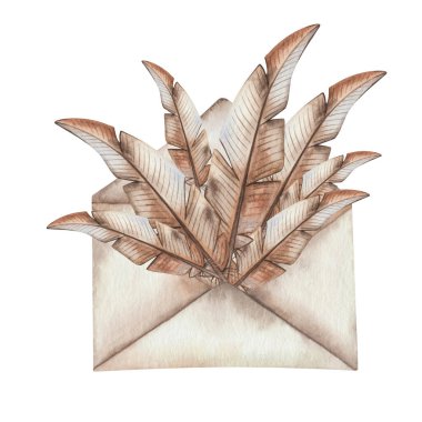 Watercolor illustration hand painted bird brown feathers of turkey, duck or pheasan in the paper envelope isolated on white. Clip art element for fabric textile, design postcards, packaging, stickers