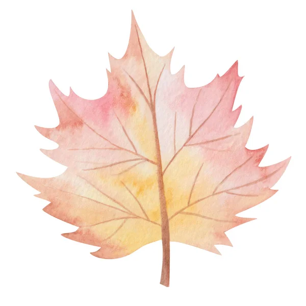 Watercolor Illustration Hand Painted Tree Maple Leaf Autumn Red Orange — Stock Photo, Image