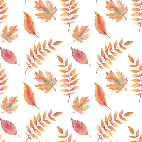 Watercolor seamless pattern from hand painted illustration of tree leaves in autumn yellow and red colors isolated on white. Forest nature print for fall season fabric textile, design cards, packaging