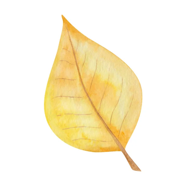 Watercolor Illustration Hand Painted Tree Leaf Birch Cherry Autumn Yellow — Stock Photo, Image