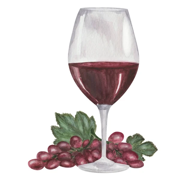 Watercolor Illustration Hand Painted Glass Long Stalk Maroon Wine Grapes — Stock Photo, Image