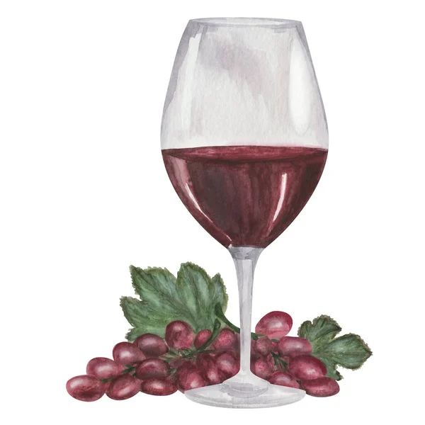 Watercolor illustration of hand painted glass on long stalk with maroon wine and grapes. Isolated clip art of refreshment for decoration menu in restaurant, cafe, bar. Alcohol beverage drink