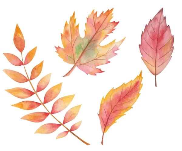 Акварель Иллюстрации Вручную Окрашенные Листья Дерева Осенью Красный Желтые Цвета — стоковое фото