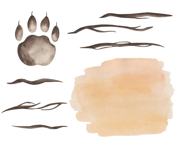 Watercolor Illustration Hand Painted Orange Fur Skin Stripes Tiger Bear — Foto Stock