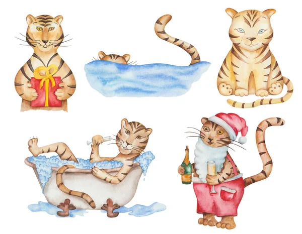 Watercolor Illustration Hand Painted Tigers Taking Bath Drinking Champagne Giving — Stockfoto