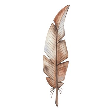 Watercolor illustration hand painted brown quill, feather as a pen to write letters isolated on white. Clip art design decorative element for birthday postcard, wedding invitation, packaging paper