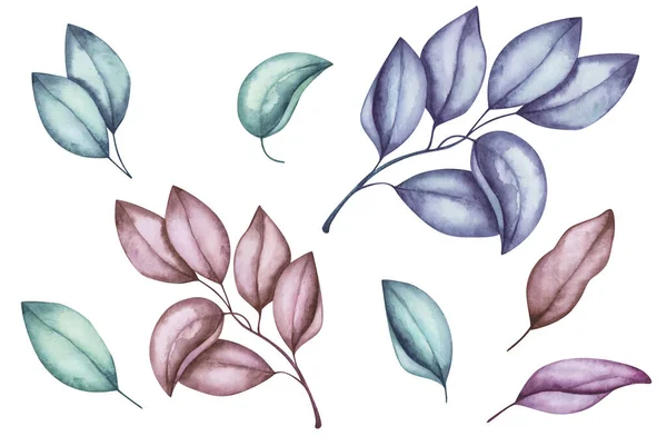 Watercolor illustration of hand painted tree branch, leaves in blue, gree, maroon color. Spring, summer, autumn foliage. Forest plant. Isolated clip art for fabric textile, packaging prints, poster