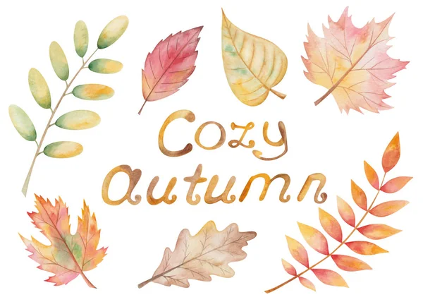 Watercolor illustration hand painted tree leaves in autumn color oak, birch, maple, cherry and text Cozy Autumn isolated on white. Forest clip art elements for fabric textile, design postcards, poster