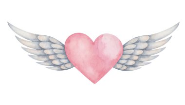 Watercolor illustration of hand painted pink heart with grey bird spread wing feathers as angel Cupid, cherub. Isolated clip art element for birthday, wedding invitation. Love card for Valentine's Day