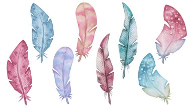 Watercolor illustration of hand painted pink, blue, brown bird's feathers from wings with hearts, stripes, dots. Isolated on white design clip art elements in boho style for love cards, pattern making