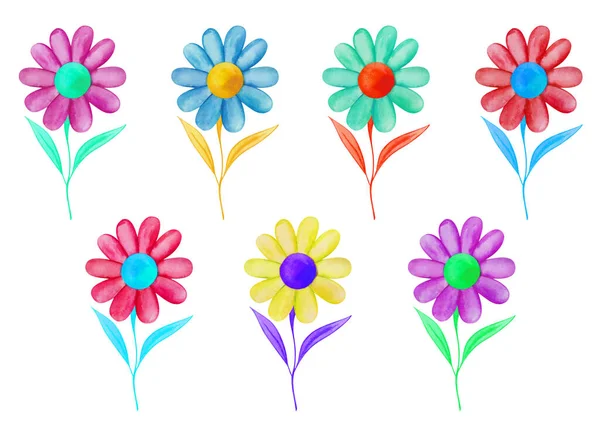 Watercolor Illustration Hand Painted Colorful Daisy Flowers Bloom Isolated White — Stock Fotó