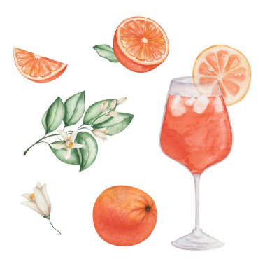 Watercolor illustration of hand painted orange cocktail in glass with slice of orange fruit, green leaves, flowers, cubical ice. Aperol spritz. Isolated clip art of goblet. Alcohol beverage drink