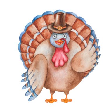 Turkey bird in pilgrim brown hat. Cartoon animal character. Traditional Thanksgiving bird icon. Watercolor illustration, hand painted. Isolated clip art for prints, posters, cards