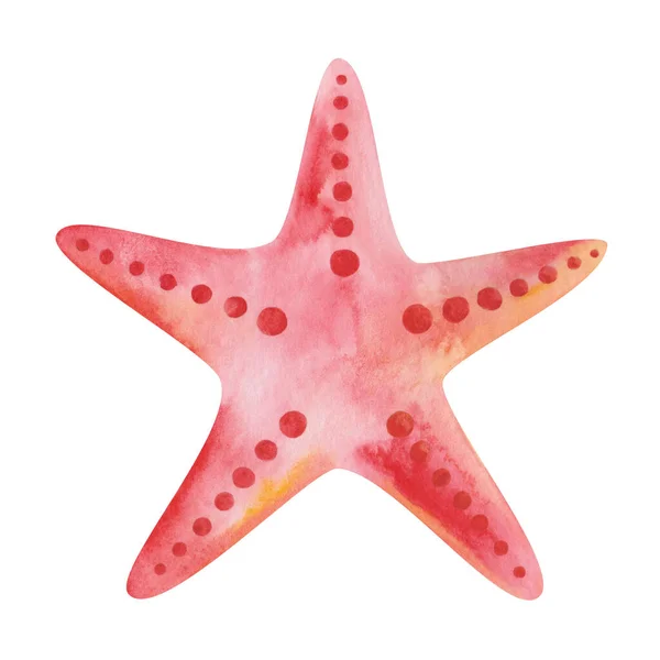 Watercolor Illustration Hand Painted Red Five Finger Starfish Ocean Animal — Foto Stock