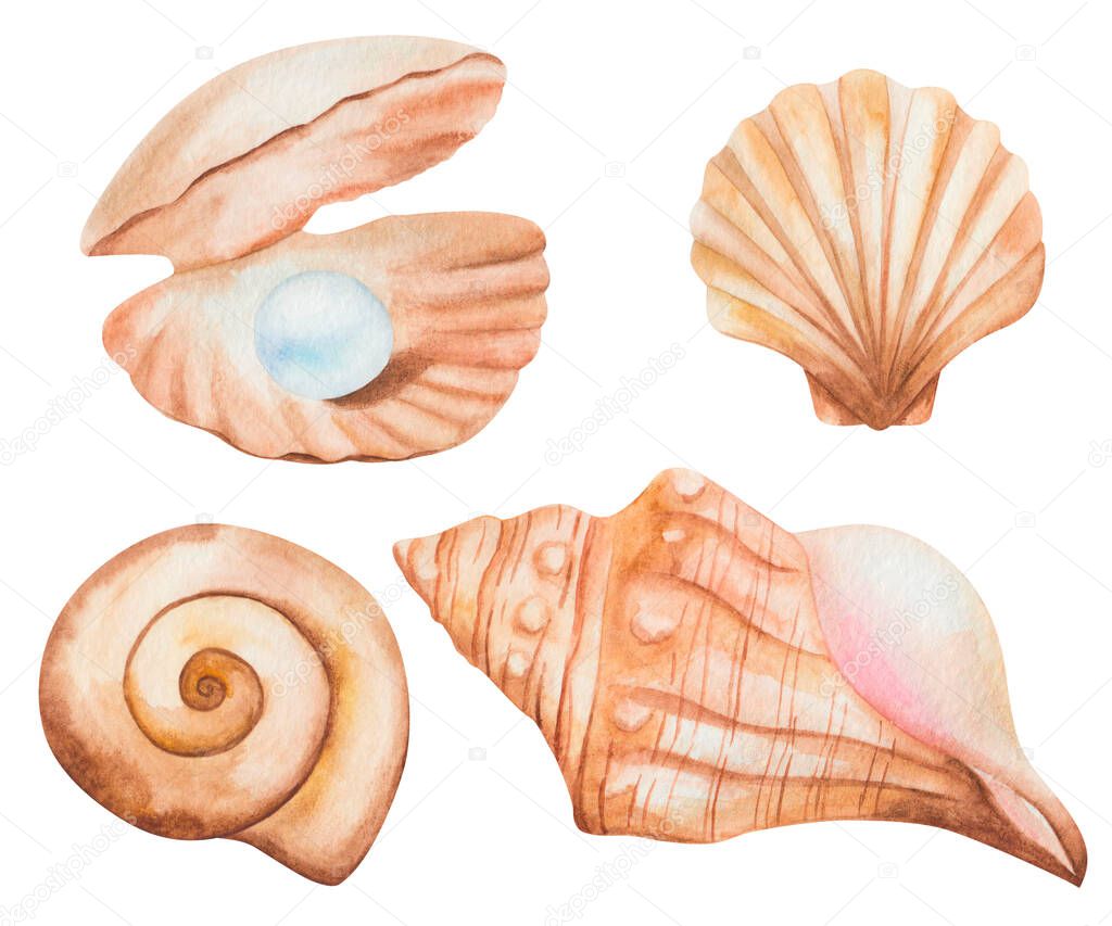 Watercolor illustration of hand painted open sea shell in brown beige with blue jewelry pearl, scallop, spiral. Isolated ocean animal. Sea life. Marine clip art beach elements for summer postcards