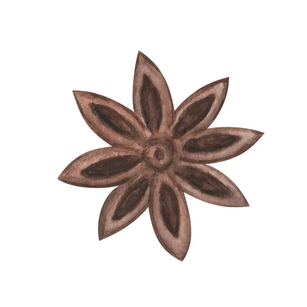 水彩画手绘褐色 米色茴香星 八角香料 烹调食物的配料 用于厨房 餐馆印刷品 图案制作的白色剪贴画 — 图库照片