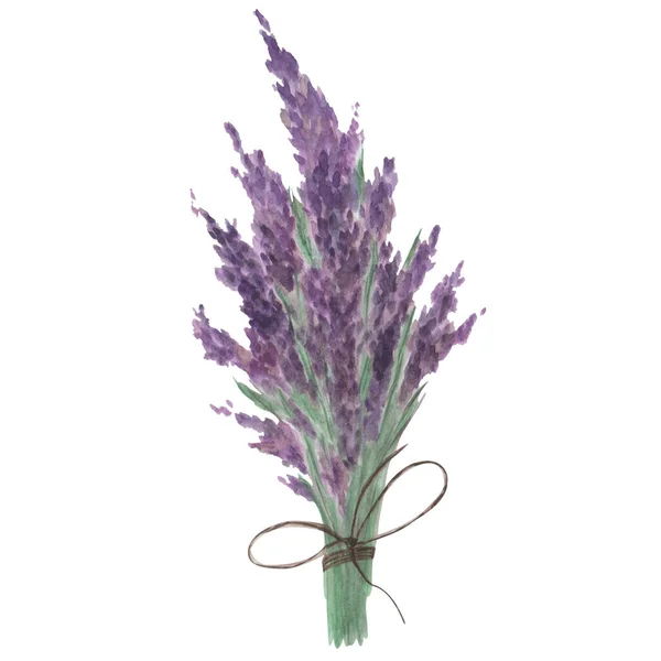 Ilustração Aquarela Buquê Pintado Mão Flores Lavanda Amarrado Com Corda — Fotografia de Stock