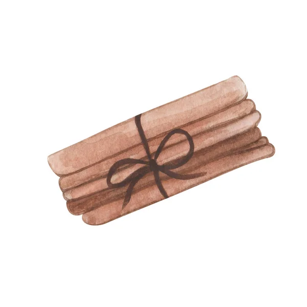 Watercolor Illustration Hand Painted Brown Beige Cinnamon Spice Sticks Stringed — Stock Photo, Image