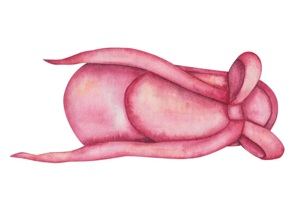 Akvarell Illusztráció Kézzel Festett Rózsaszín Balett Tánc Cipő Hosszú Csipke — Stock Fotó