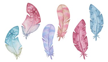 Watercolor illustration of hand painted pink, blue, brown bird's feathers from wings with hearts, stripes, dots. Isolated on white design clip art elements in boho style for love cards, pattern making