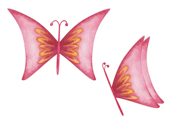 Aquarel Illustratie Van Hand Geschilderd Roze Gele Vlinder Met Gespreide — Stockfoto