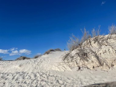 desert sands and mounds in the white sand dunes.deep blue winter sky.