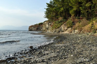 A coast in the city of Chalkida